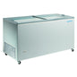 Infrico Conservadora de Helado HF 500 TCG