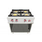 Cocina A Gas Arilex 6 Fuegos Con Piloto De 3x7,5 +3x5,5 KW